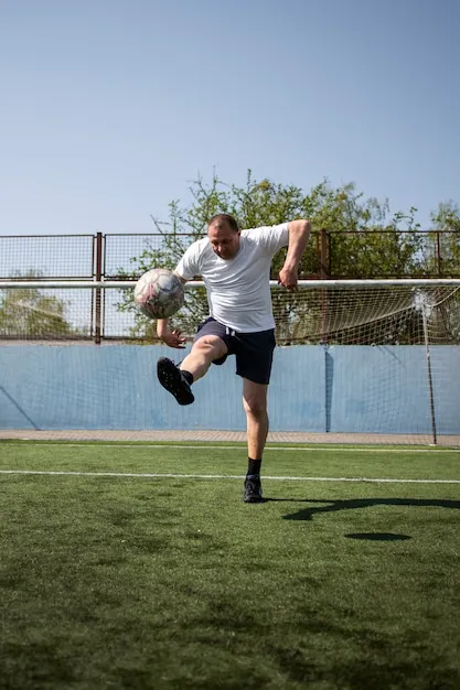 法甲直播体育APP